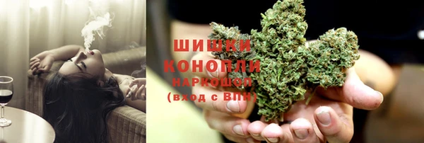 сатива Кодинск