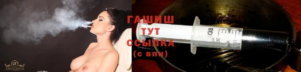 сатива Кодинск