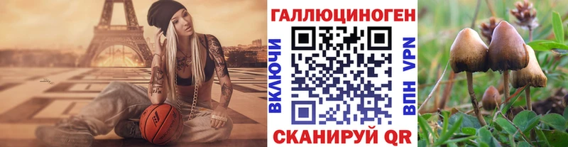 hydra маркетплейс  купить   Называевск  Галлюциногенные грибы Psilocybine cubensis 